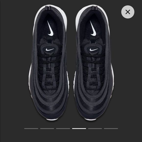 nocturnal animal air max